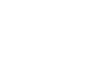foundation logo 300x200 stacked
